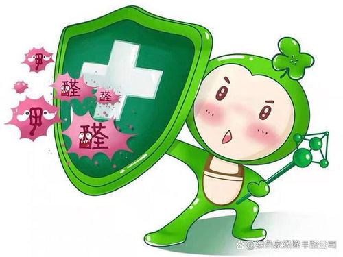 如何選擇正規除甲醛公司與空氣凈化器租賃服務