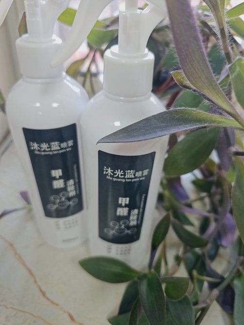 2025年新房裝修除甲醛產(chǎn)品效果橫評(píng) 排行榜