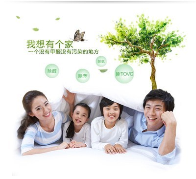 江北區(qū)除甲醛，選擇永秀清潔的專(zhuān)業(yè)之道